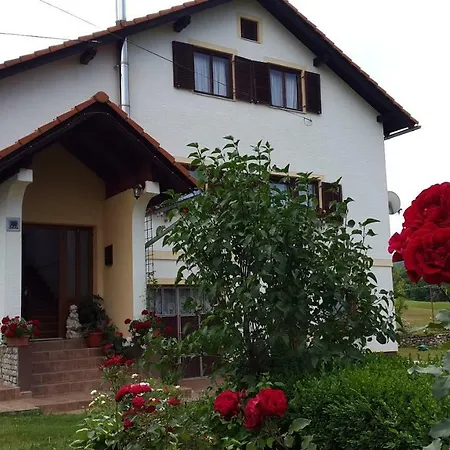 Apartments Jure Smoljanac Exterior photo